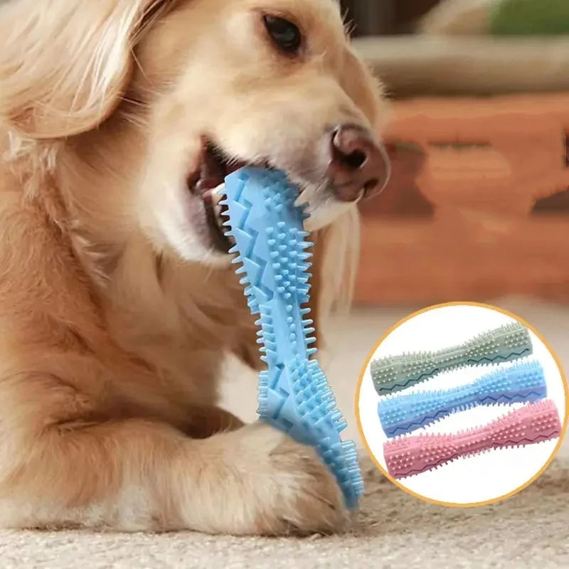 Dog Toys