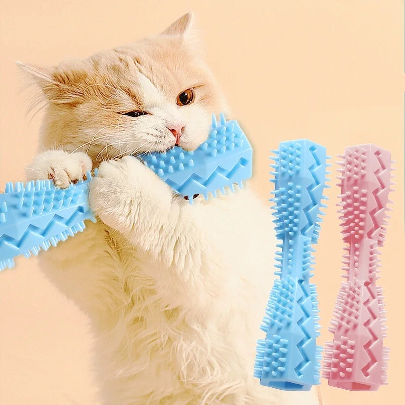 Cat Toys