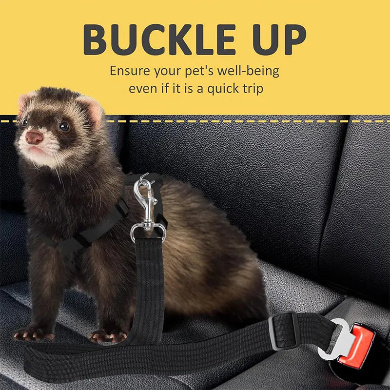 Secure Dog Car Safety Belt
