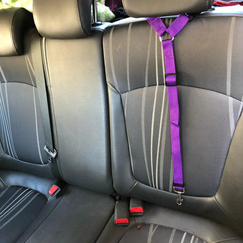 2-in-1 Pet Car Seat Belt & Leash