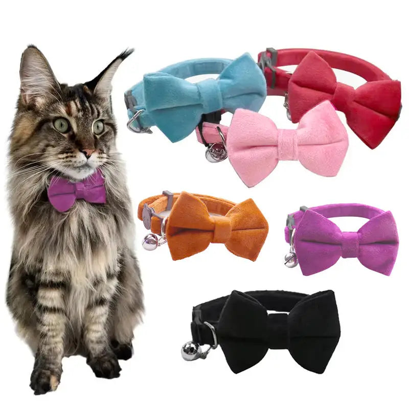 Multicolor Cat Collar with Bow & Bell
