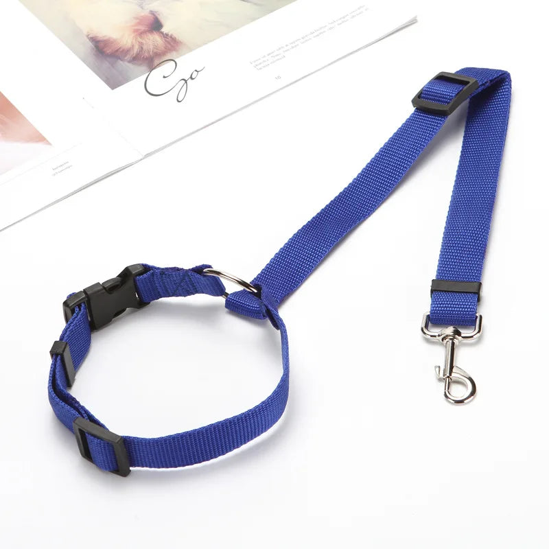 2-in-1 Pet Car Seat Belt & Leash