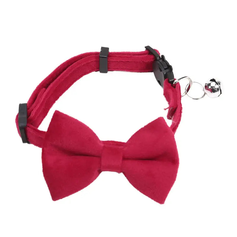 Multicolor Cat Collar with Bow & Bell