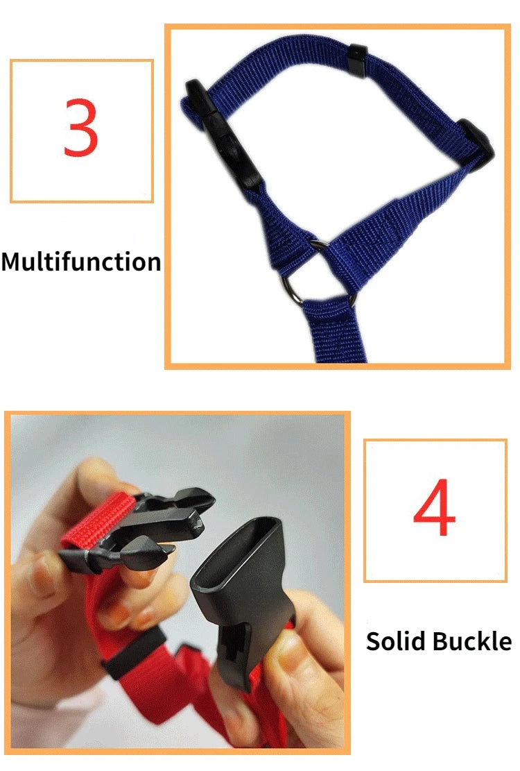 2-in-1 Pet Car Seat Belt & Leash