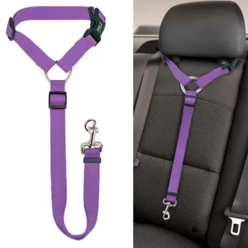 2-in-1 Pet Car Seat Belt & Leash