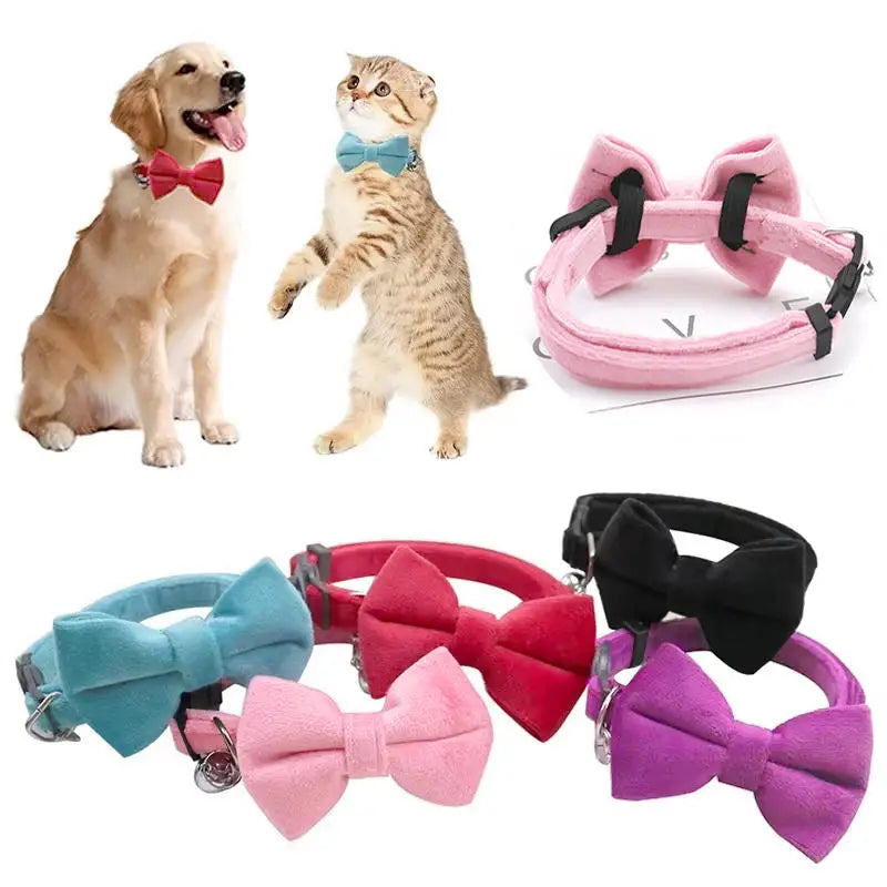 Multicolor Cat Collar with Bow & Bell