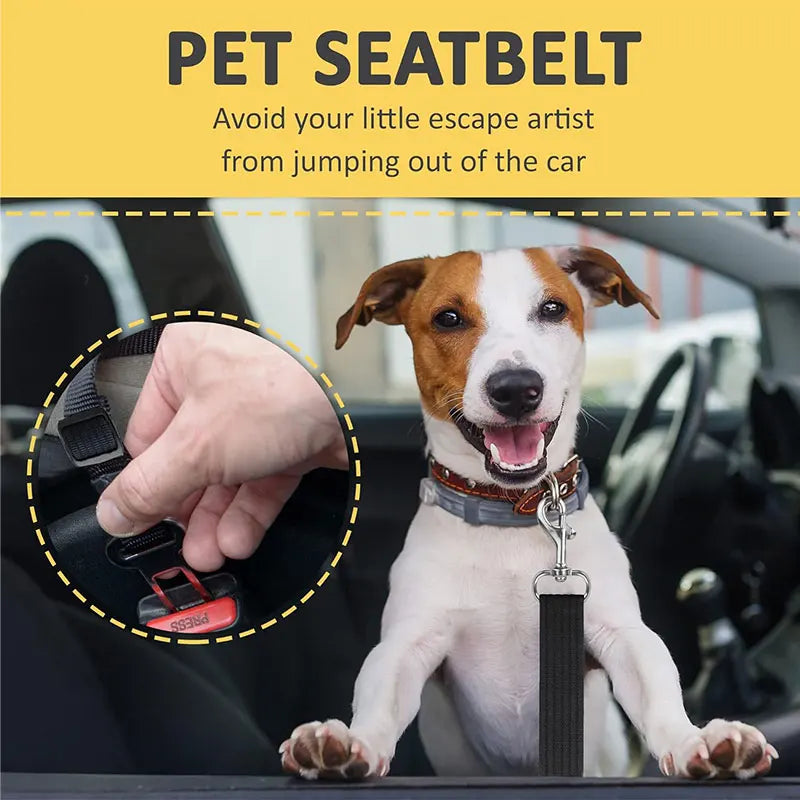 Secure Dog Car Safety Belt