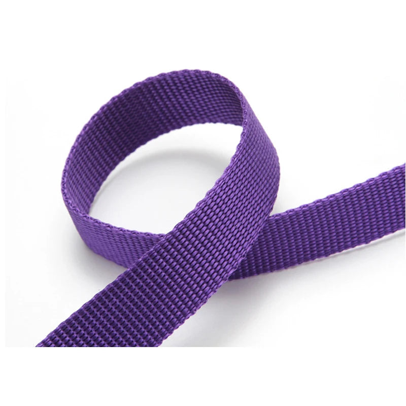 2-in-1 Pet Car Seat Belt & Leash