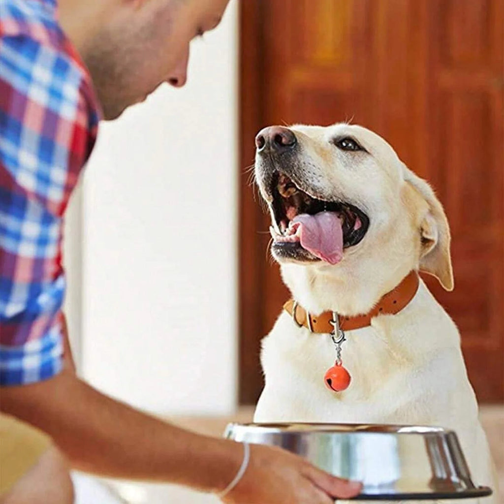 Pet Collar Bell Pendant