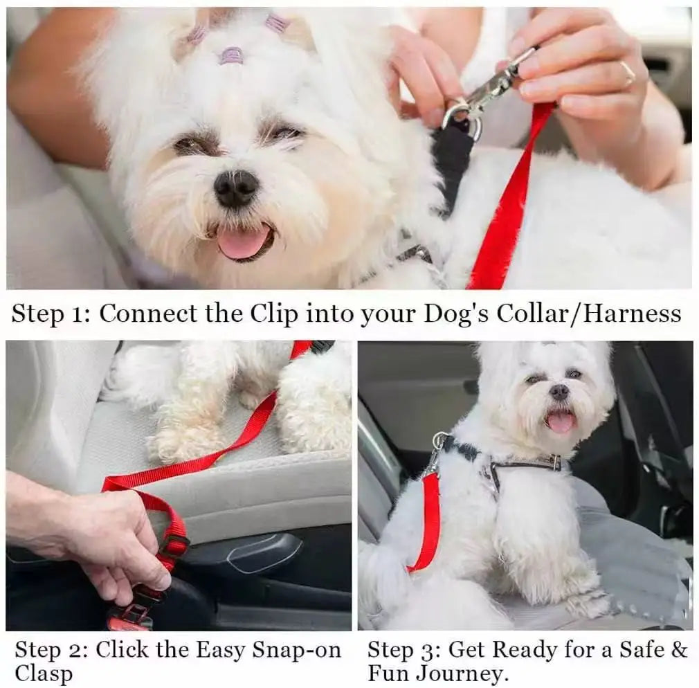 Pet Car Safety Belt for Dogs