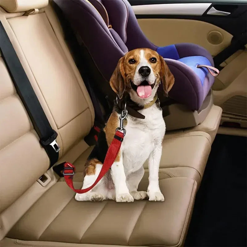 Secure Dog Car Safety Belt