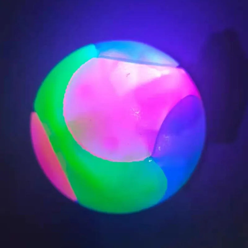 Glow Dog Play Ball