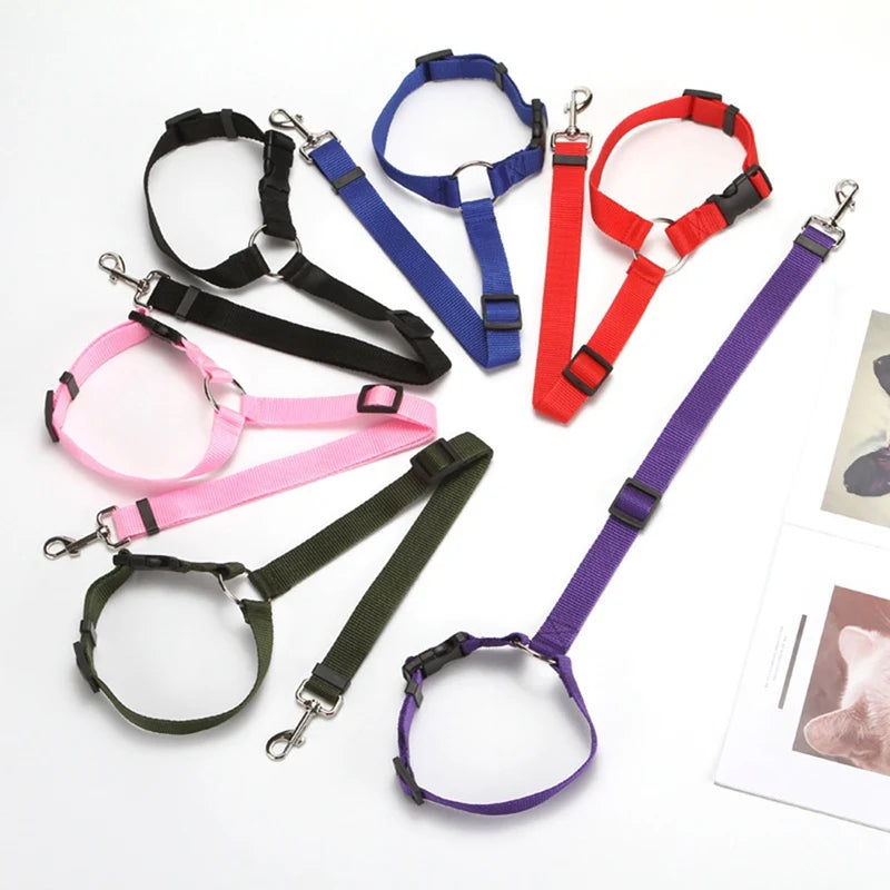 2-in-1 Pet Car Seat Belt & Leash