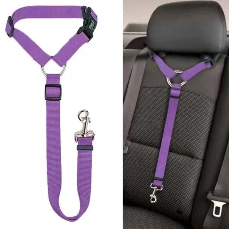 2-in-1 Pet Car Seat Belt & Leash
