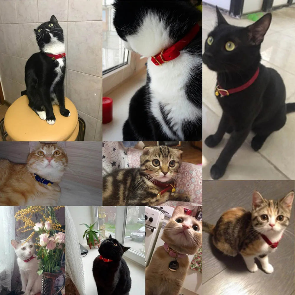 Cute Adjustable Cat Collar with Bell