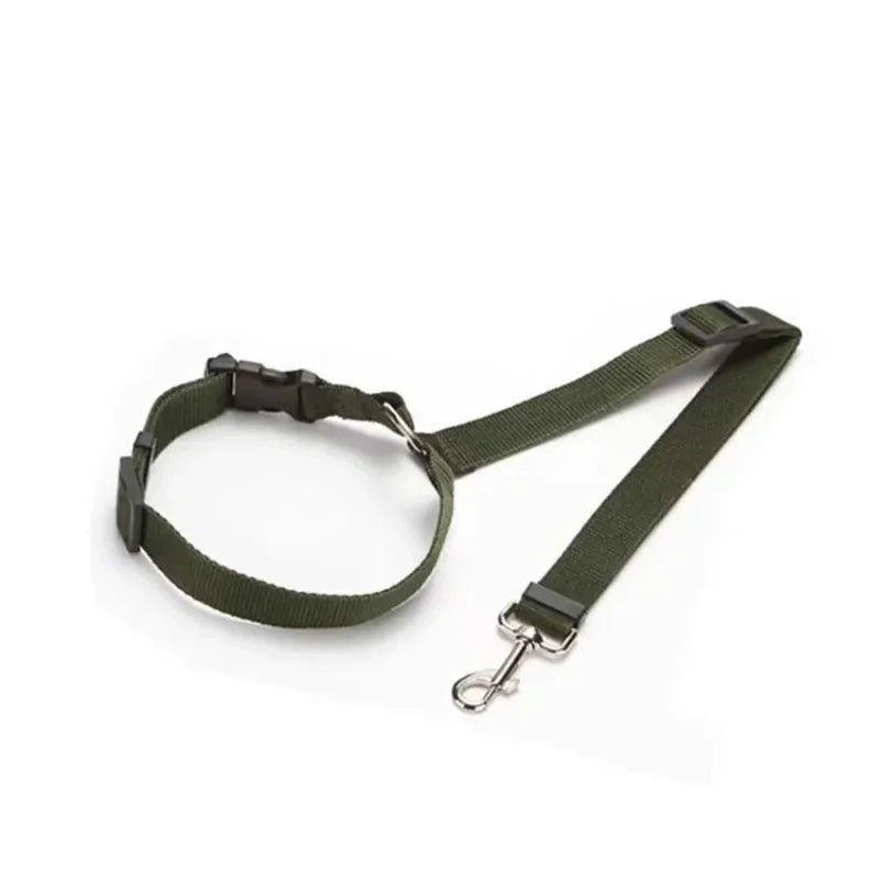 2-in-1 Pet Car Seat Belt & Leash