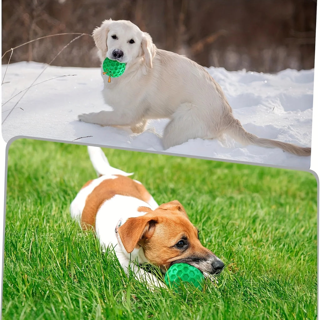 Indestructible Dog Chew Ball