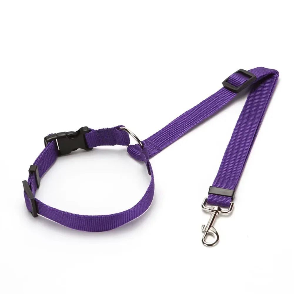 2-in-1 Pet Car Seat Belt & Leash