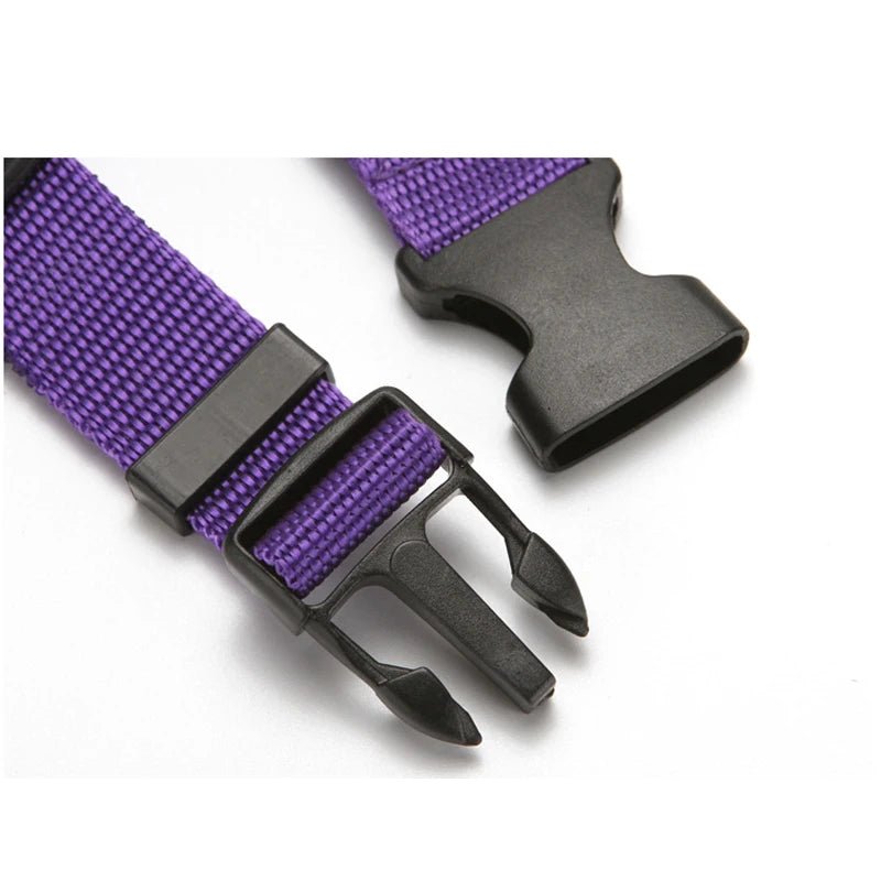 2-in-1 Pet Car Seat Belt & Leash