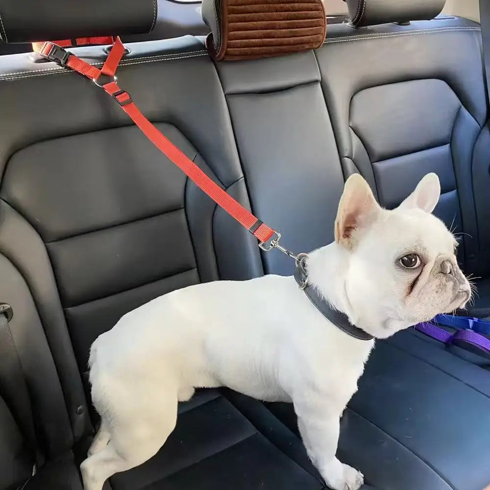 Pet Car Safety Belt for Dogs