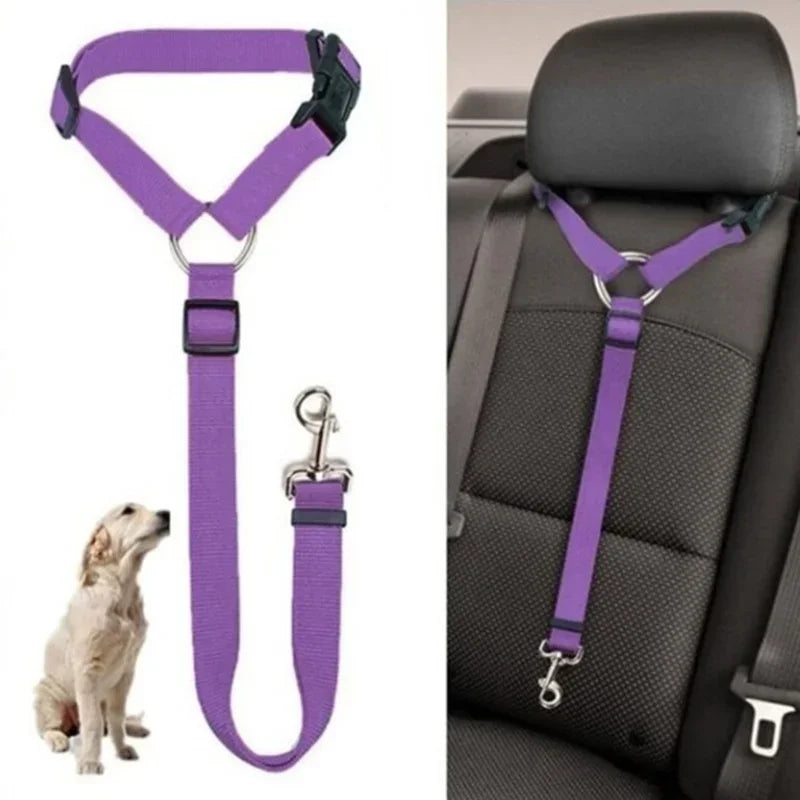 2-in-1 Pet Car Seat Belt & Leash