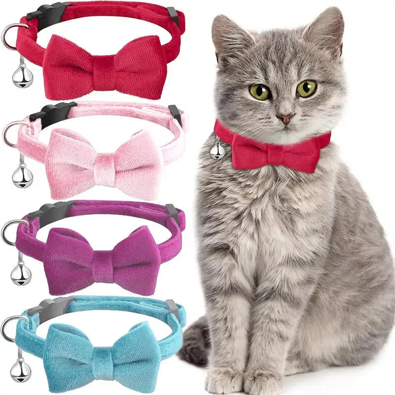 Multicolor Cat Collar with Bow & Bell