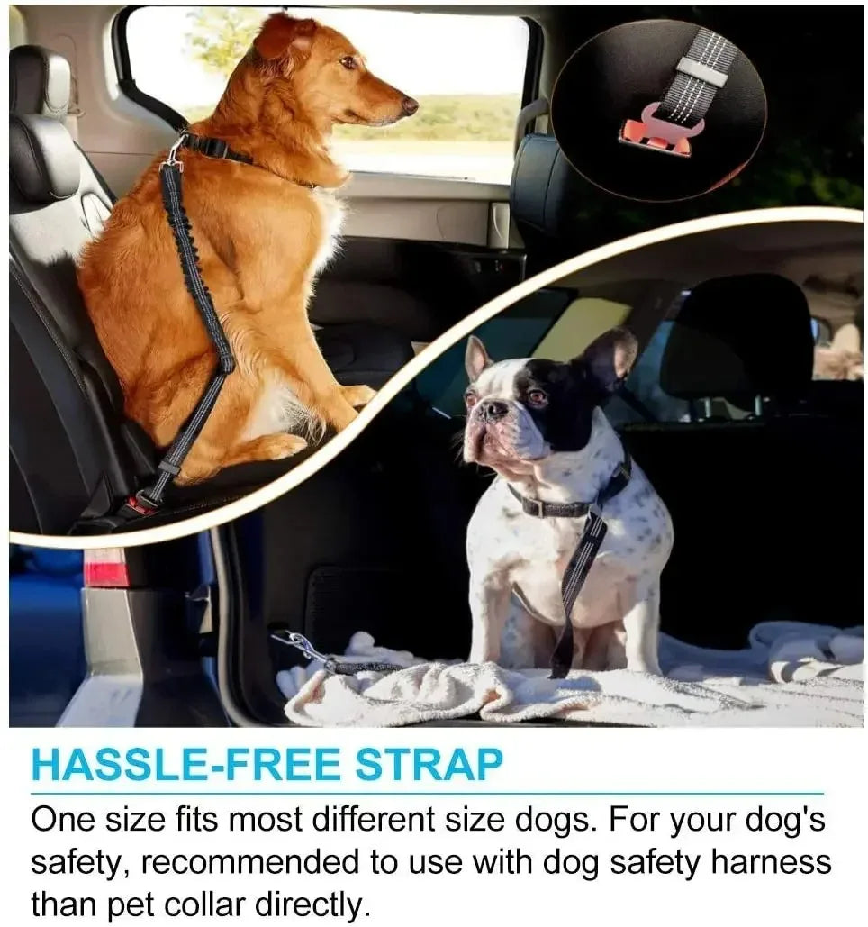 Adjustable Dog & Cat Car Safety Belt