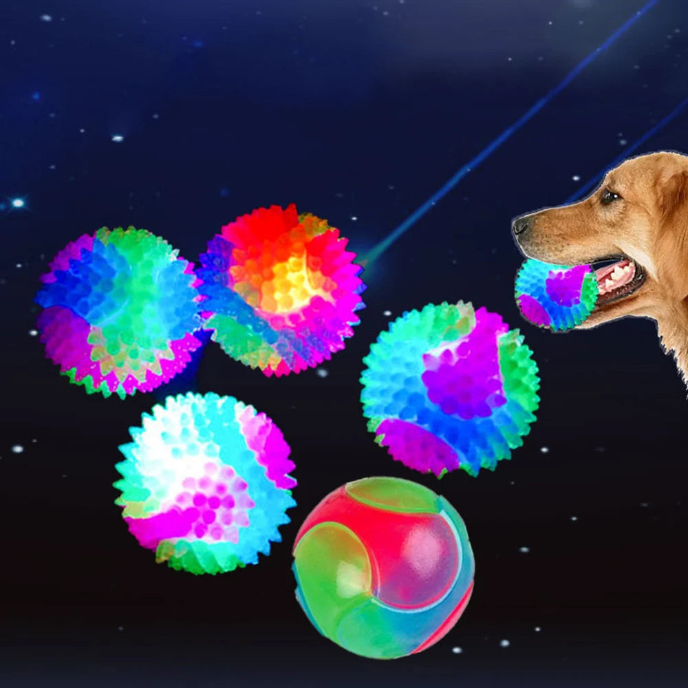 Glow Dog Play Ball