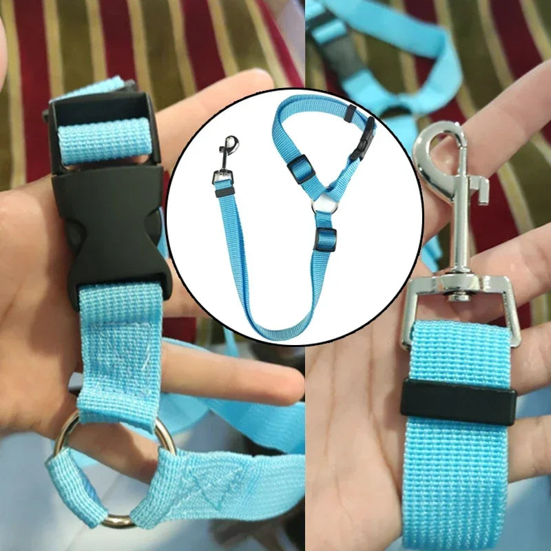 2-in-1 Pet Car Seat Belt & Leash