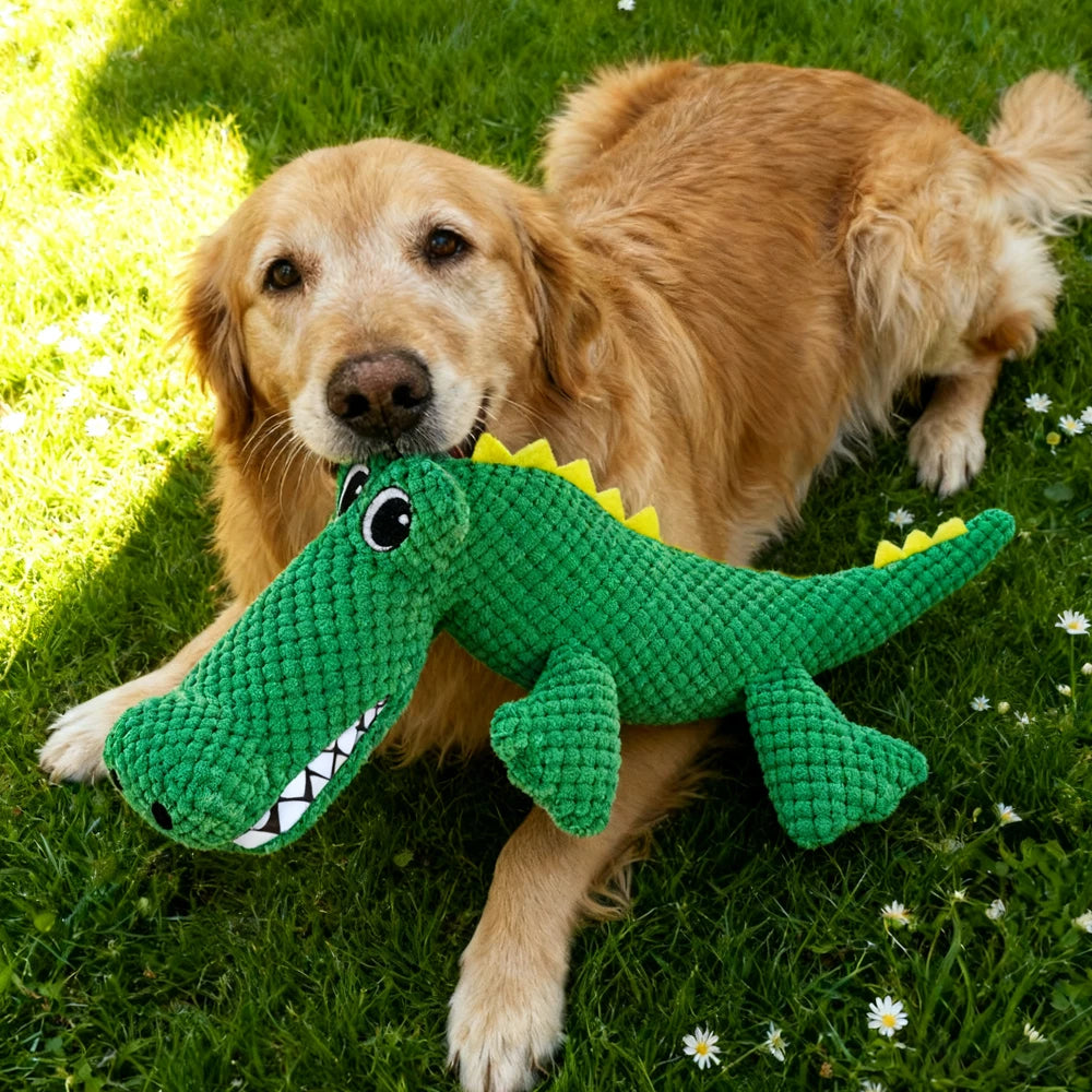 Chew-Resistant Plush Pet Toy