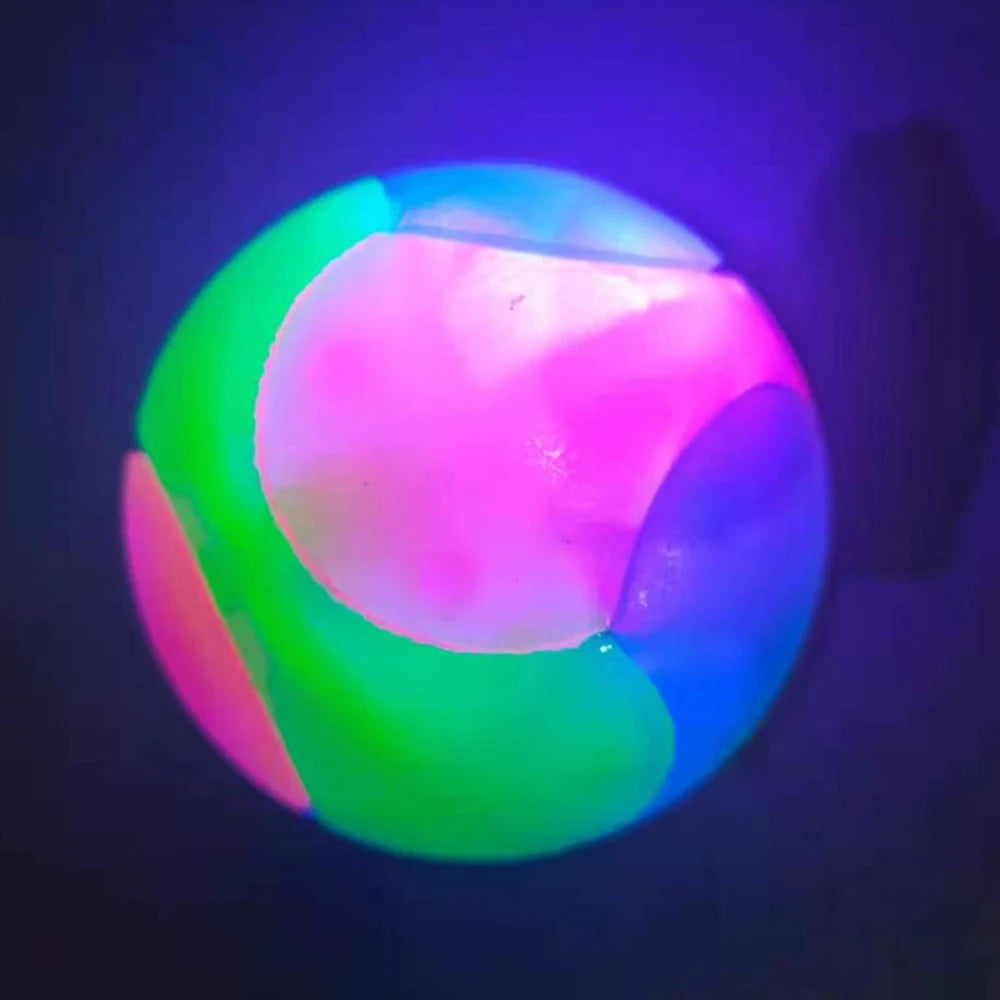 Glow Dog Play Ball