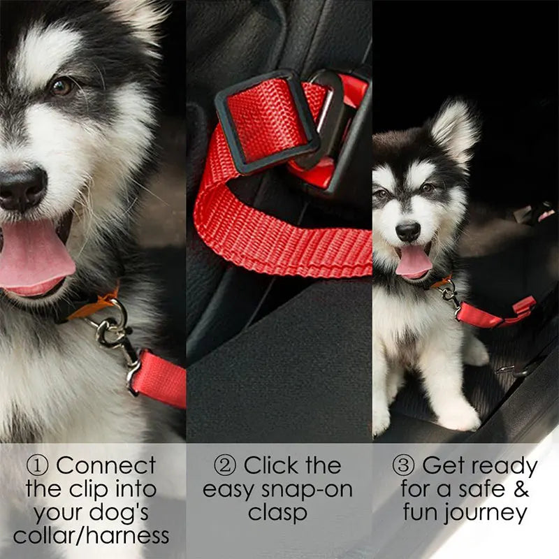 Secure Dog Car Safety Belt